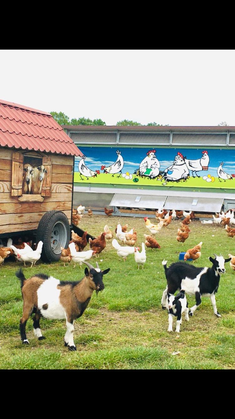 Weidelandfarm Am Riebener See Lägenhet Beelitz Exteriör bild