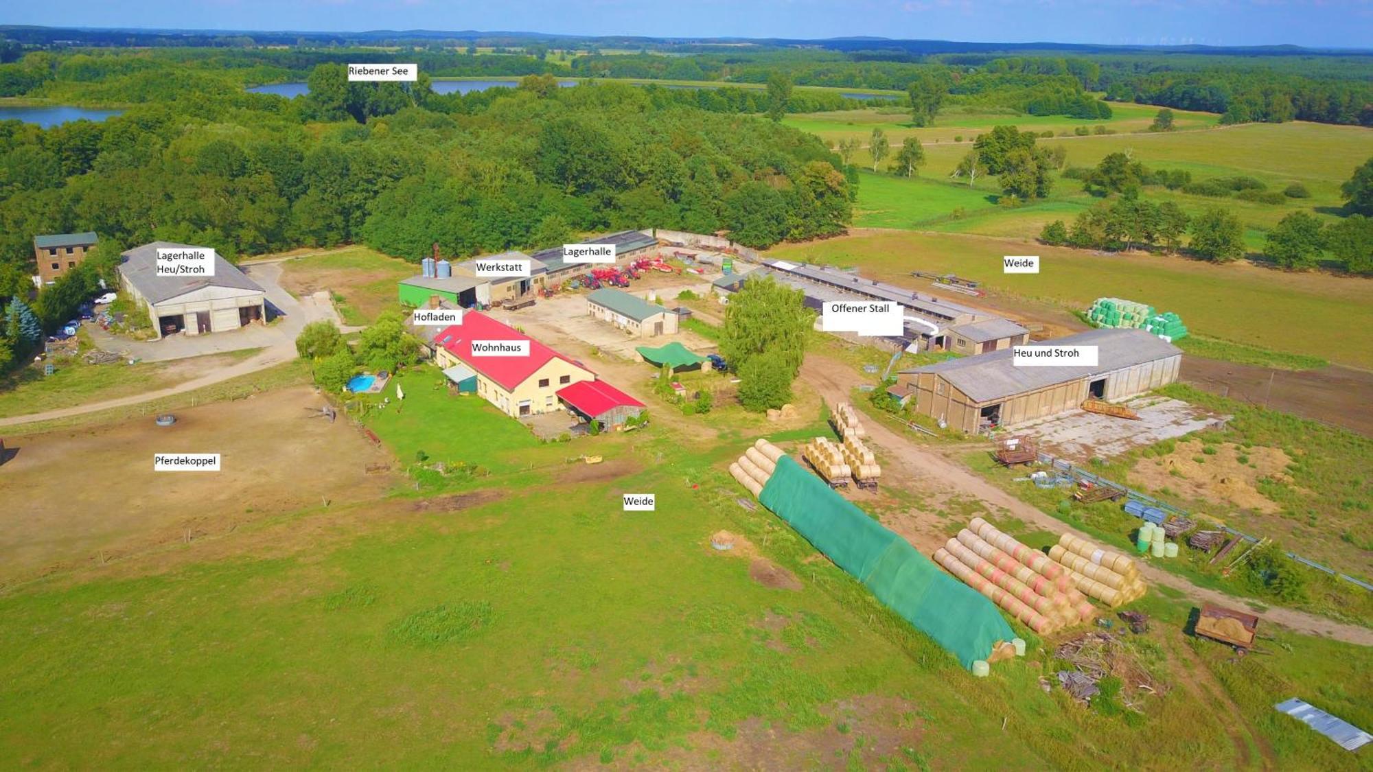 Weidelandfarm Am Riebener See Lägenhet Beelitz Exteriör bild